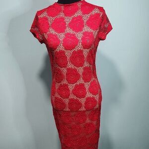 Joe & Elle Red Rose Lace Overlay Dress Size Large
Lot K